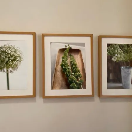 Klimatyczny Przy Rynku شقة فروتسواف