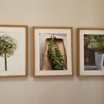 Klimatyczny Przy Rynku דירה ורוצלב